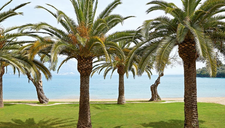 4* Grecotel Daphnila Bay - Δασιά, Κέρκυρα