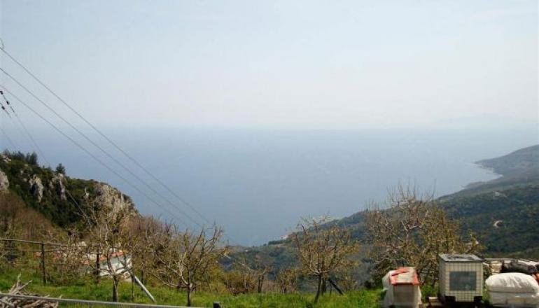 Ξενώνας Φιλύρα