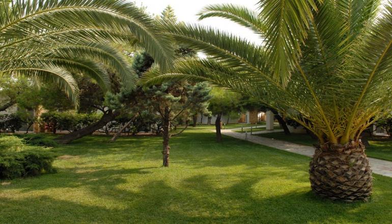 Verde & Mare Bungalows