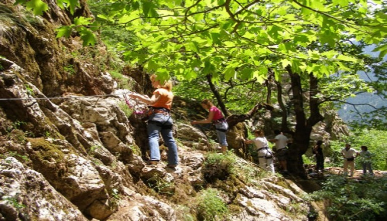 Ξενώνας Σεμέλη - ΕΥ ΖΗΝ -ACTIVE