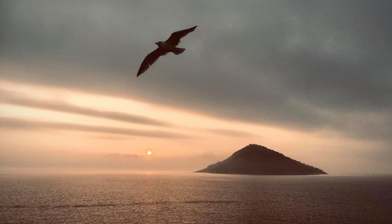 4* A For Art Hotel - Λιμένας, Θάσος