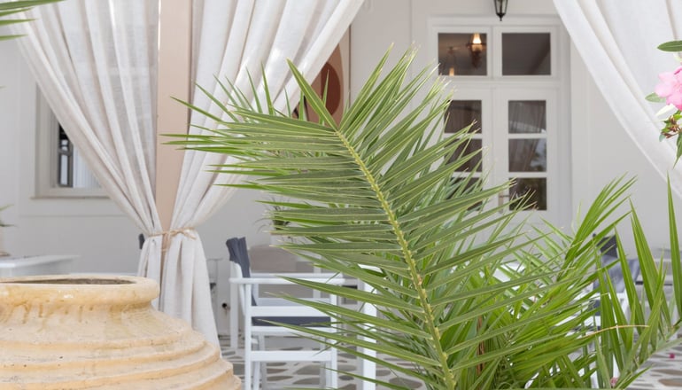 Acoya Residences - Παραλία Αλυκή, Πάρος