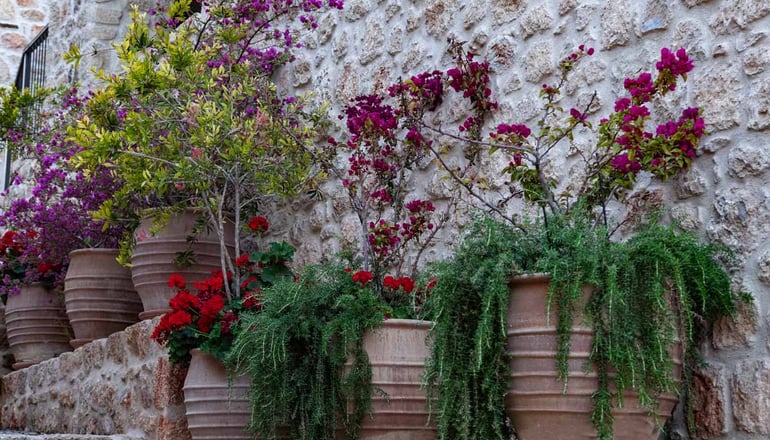 4* Alistos Hotel - Γύθειο