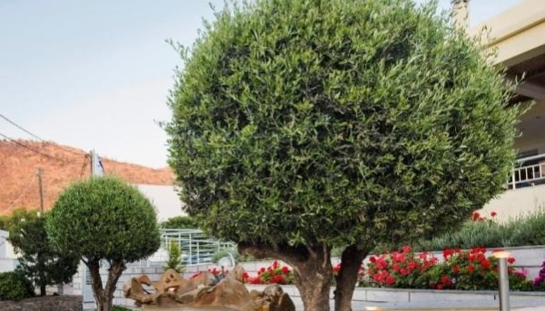 4* Almiriki Chios Rooms & Apartments - Λιθί, Χίος