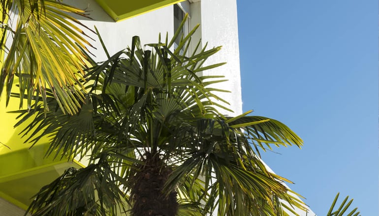 5* Semiramis Hotel - Κηφισιά, Αθήνα