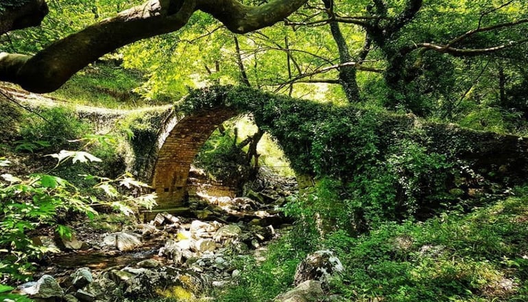 Rouista Tzoumerka Resort