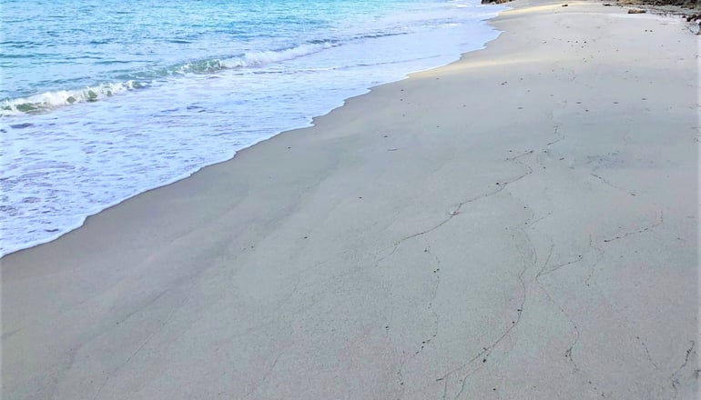 4* Avatel Eco Lodge - Κρυοπηγή, Χαλκιδική