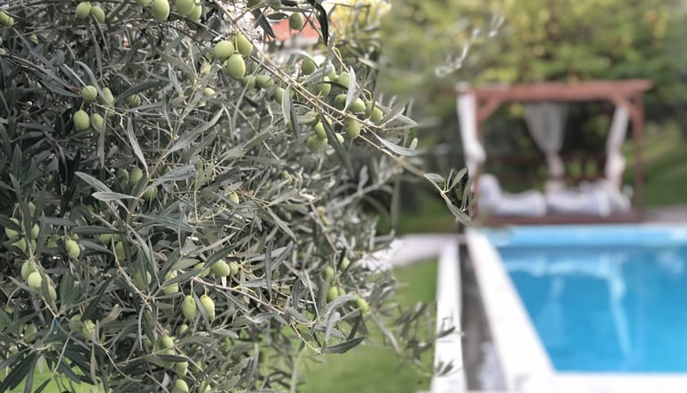 4* Avatel Eco Lodge - Κρυοπηγή, Χαλκιδική