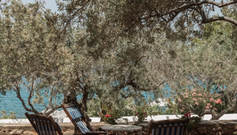 4* Bellevalia - Ύδρα