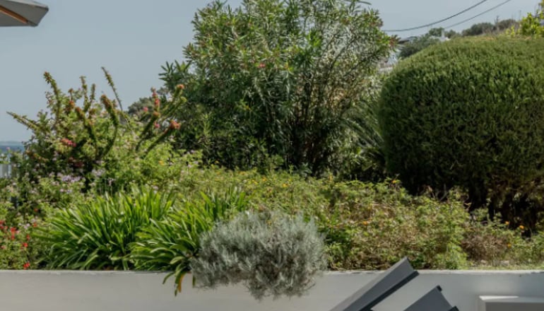 4* Bellevalia - Ύδρα