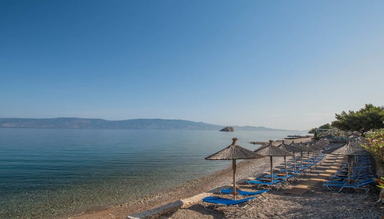 4* Bellevalia - Ύδρα