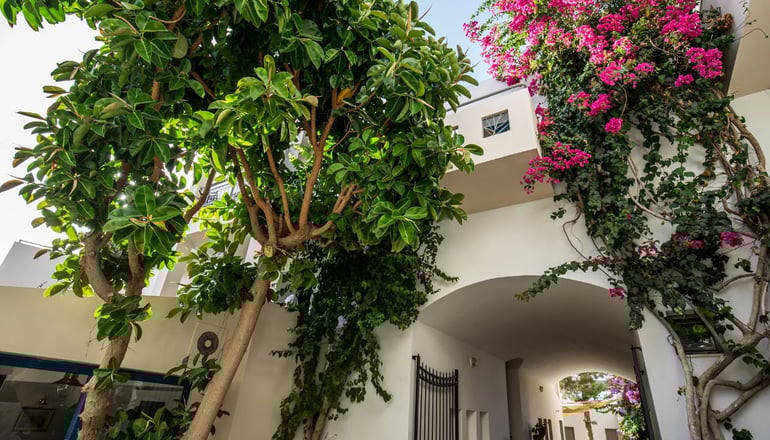 4* Castello Village Resort - Λασίθι, Κρήτη