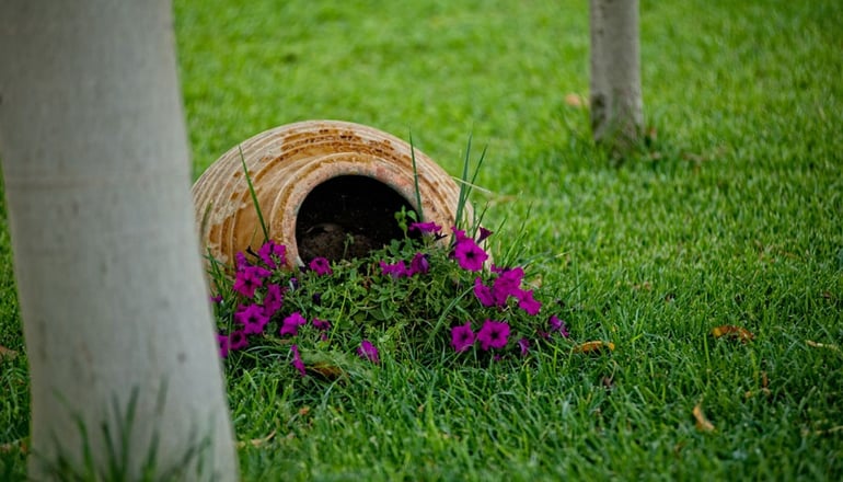 4* Colonides Beach Hotel