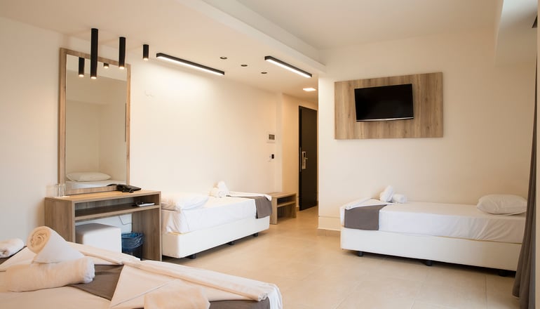 4* Dafni Plus Hotel Pieria