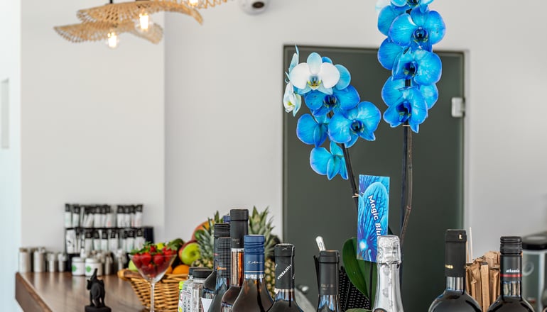 4* En Plo Boutique Suites - Οία, Σαντορίνη