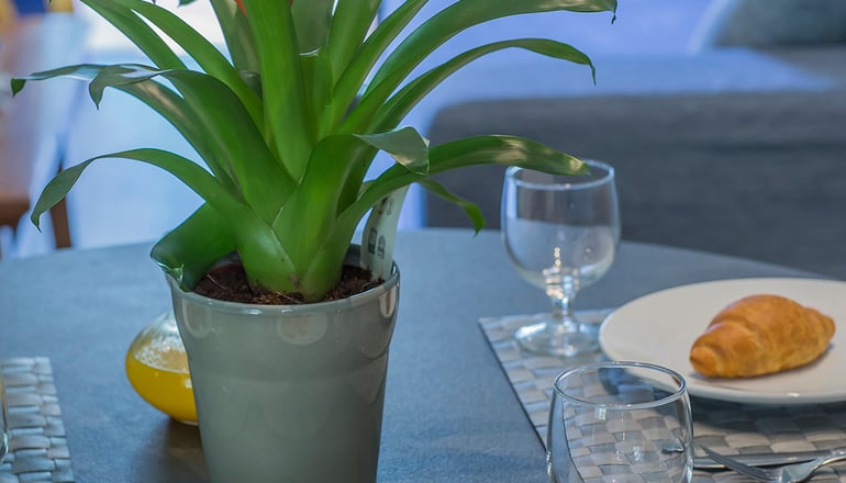 4* Golden Coast Hotel & Bungalows - Νέα Μάκρη