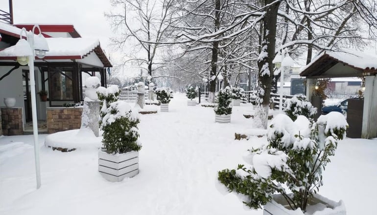 Ξενώνας Όαση