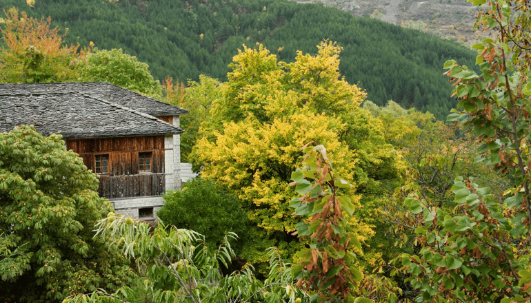 4* Katogi Averoff Hotel & Winery