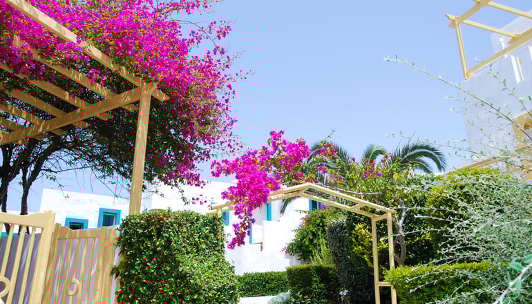 4* Mastichari Bay Hotel - Μαστιχάρι, Κως
