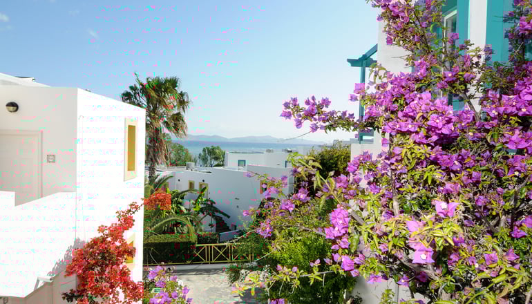 4* Mastichari Bay Hotel - Μαστιχάρι, Κως