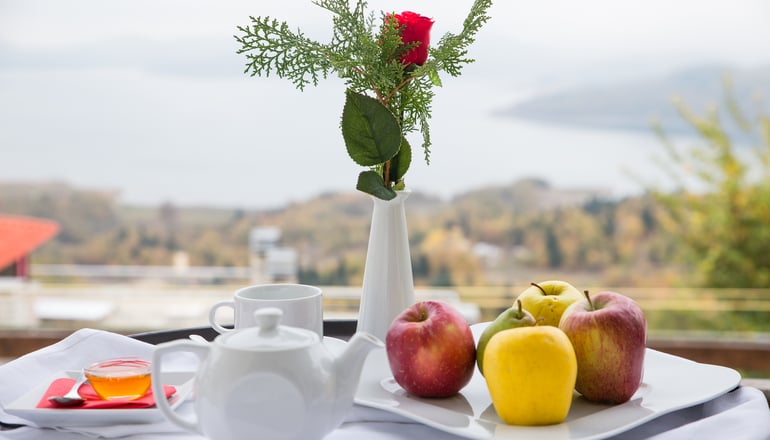 4* Nevros Hotel Resort & Spa - Λίμνη Πλαστήρα