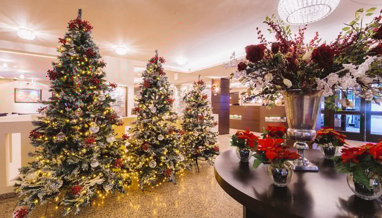 4* Portaria Hotel - Πορταριά Πηλίου