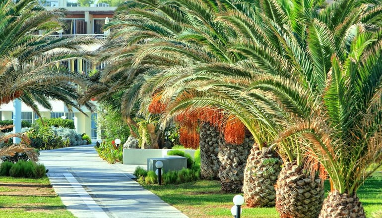 4* Santa Marina Beach Hotel