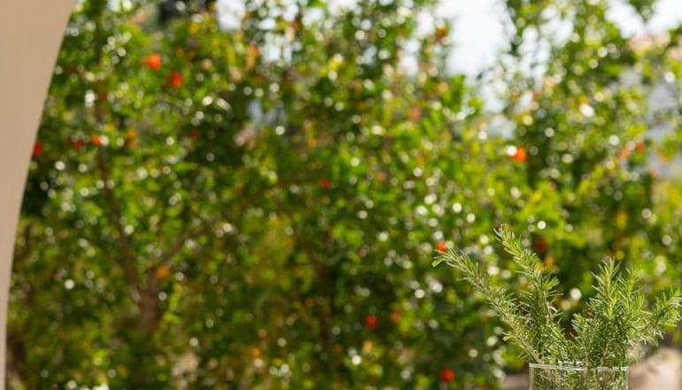 4* Sunrise Village - Πεταλίδι, Μεσσηνία