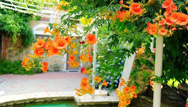 4* Taleton Country House