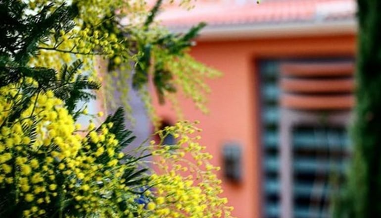 4* Thalassa Hotel - Πάλαιρος,  Αιτωλοακαρνανία