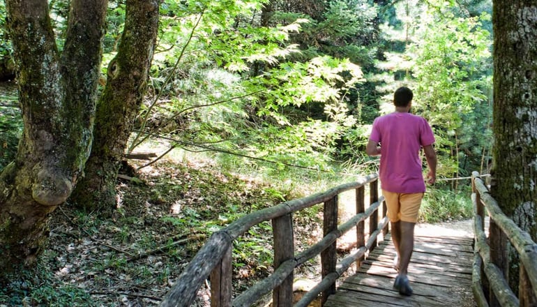 4* Thalatta Seaside Hotel - Αγία Άννα, Εύβοια