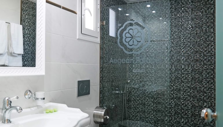 4* Aegean Palace - Πλάκα, Νάξος