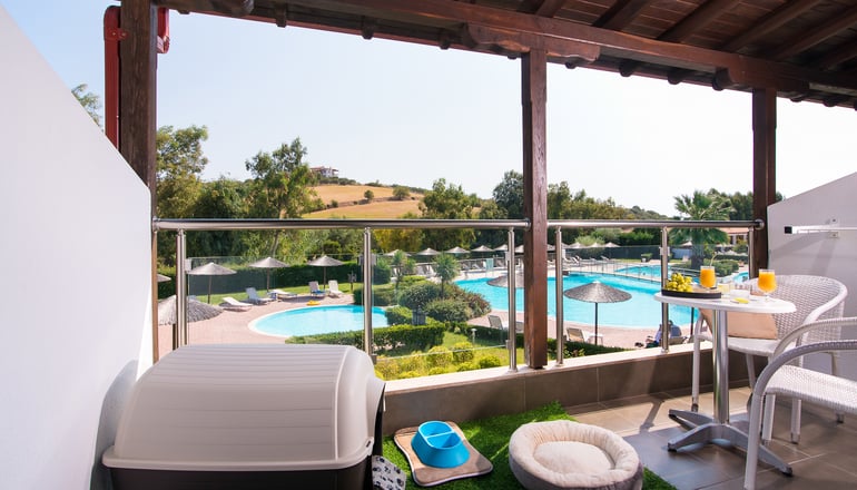 5* Alexandros Palace Hotel & Suites - Ουρανούπολη, Χαλκιδική