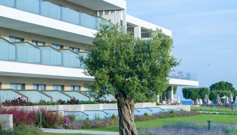 5* Ammoa Luxury Hotel & Spa Resort - Νικήτη, Χαλκιδική