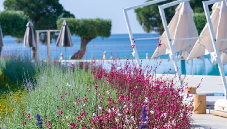 5* Ammoa Luxury Hotel & Spa Resort - Νικήτη, Χαλκιδική