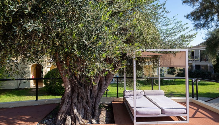 5* Sentido Apollo Palace Corfu