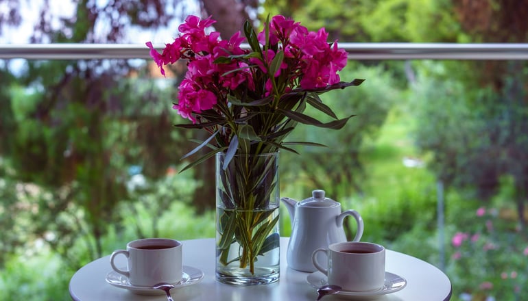 5* Elinotel Sermilia Resort - Σιθωνία, Χαλκιδική