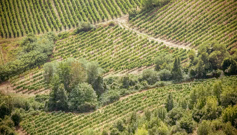 5* Grand Forest Metsovo