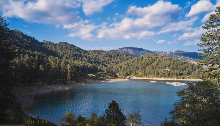 5* Grand Forest Metsovo