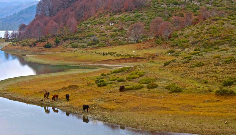 5* Grand Forest Metsovo