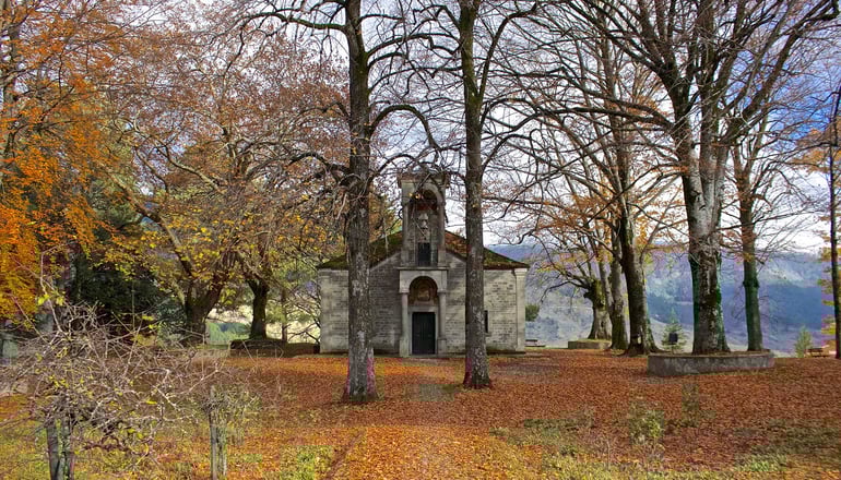 5* Grand Forest Metsovo