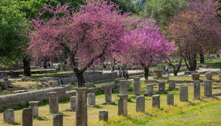 5* Aldemar Olympian Village - Σκαφιδιά, Ηλεία