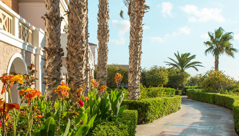 5* Mitsis Royal Mare - Ανισσαράς, Χερσόνησος, Κρήτη