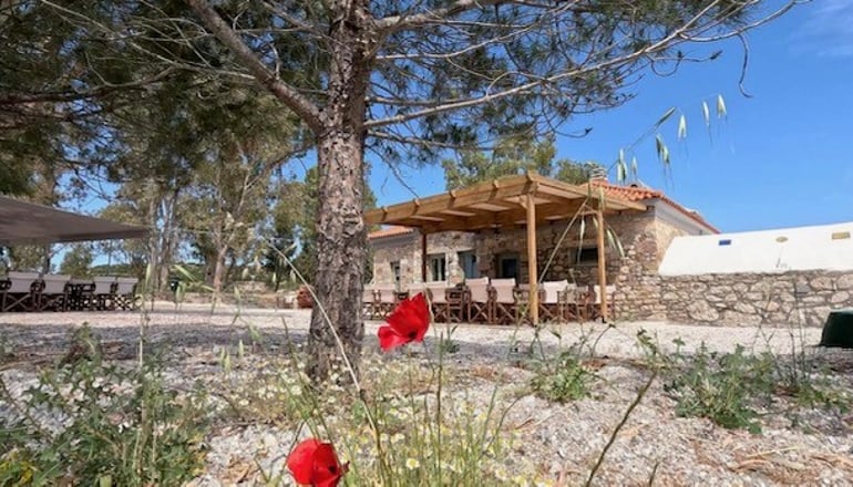 5* Mythical Coast Wellness Retreat