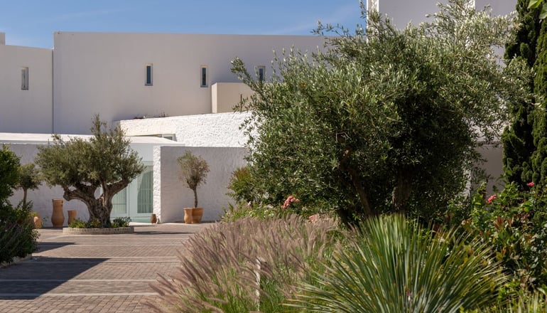 5* Patmos Aktis, a Luxury Collection Resort & Spa - Γροίκος, Πάτμος