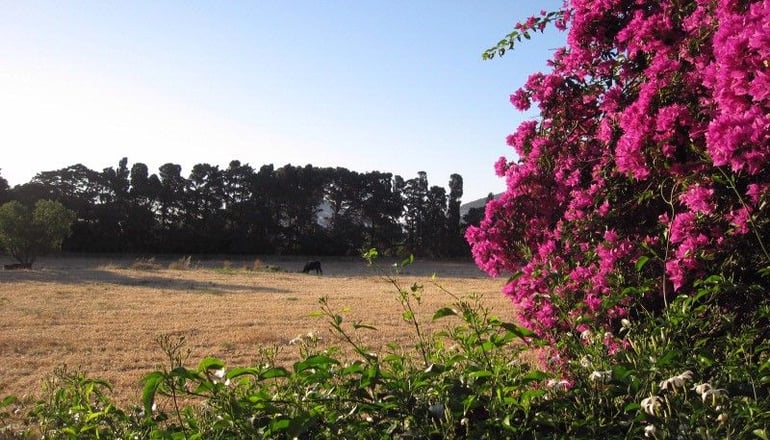 Αρχοντικό Αγγέλου