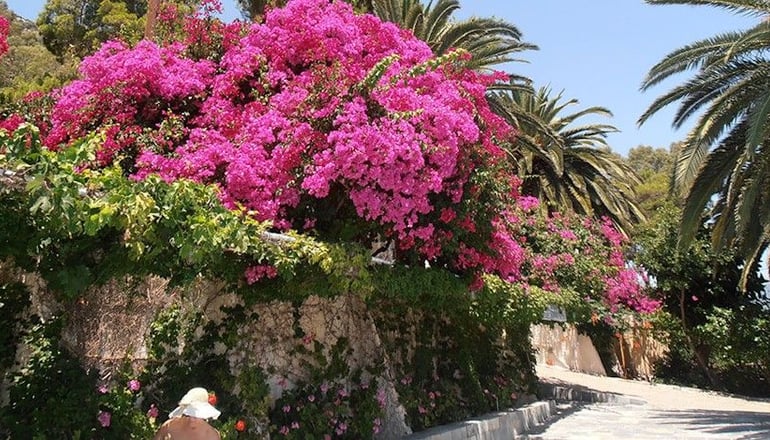 Douka Sea Front Residencies