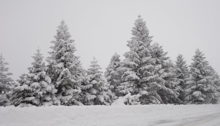 Μπαλκόνι της Αγόριανης