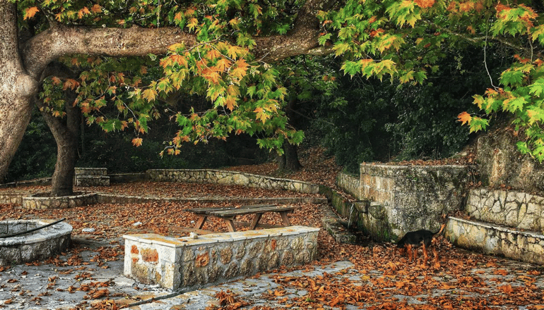 Ξενώνας Ανεμόεσσα