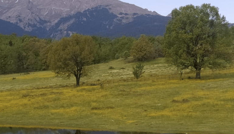 Hotel Μορφοβούνι